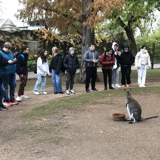 11.13.2023 ZOO
