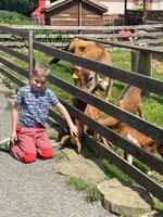 IMG-20240618-WA0017