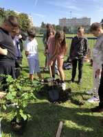 9.20.2024 strom pro mír..