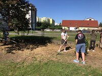 5.15.2024 Štěpka..