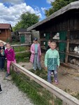 ŠD - Výlet Šestajovice – 7. a 9. oddělení