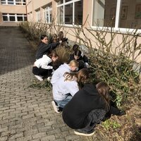 3.4.2025 růže.