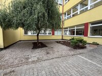 IMG_3522